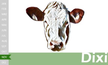 tr�chtige Fleckvieh Kalbin zu verkaufen, beweidet und ruhig